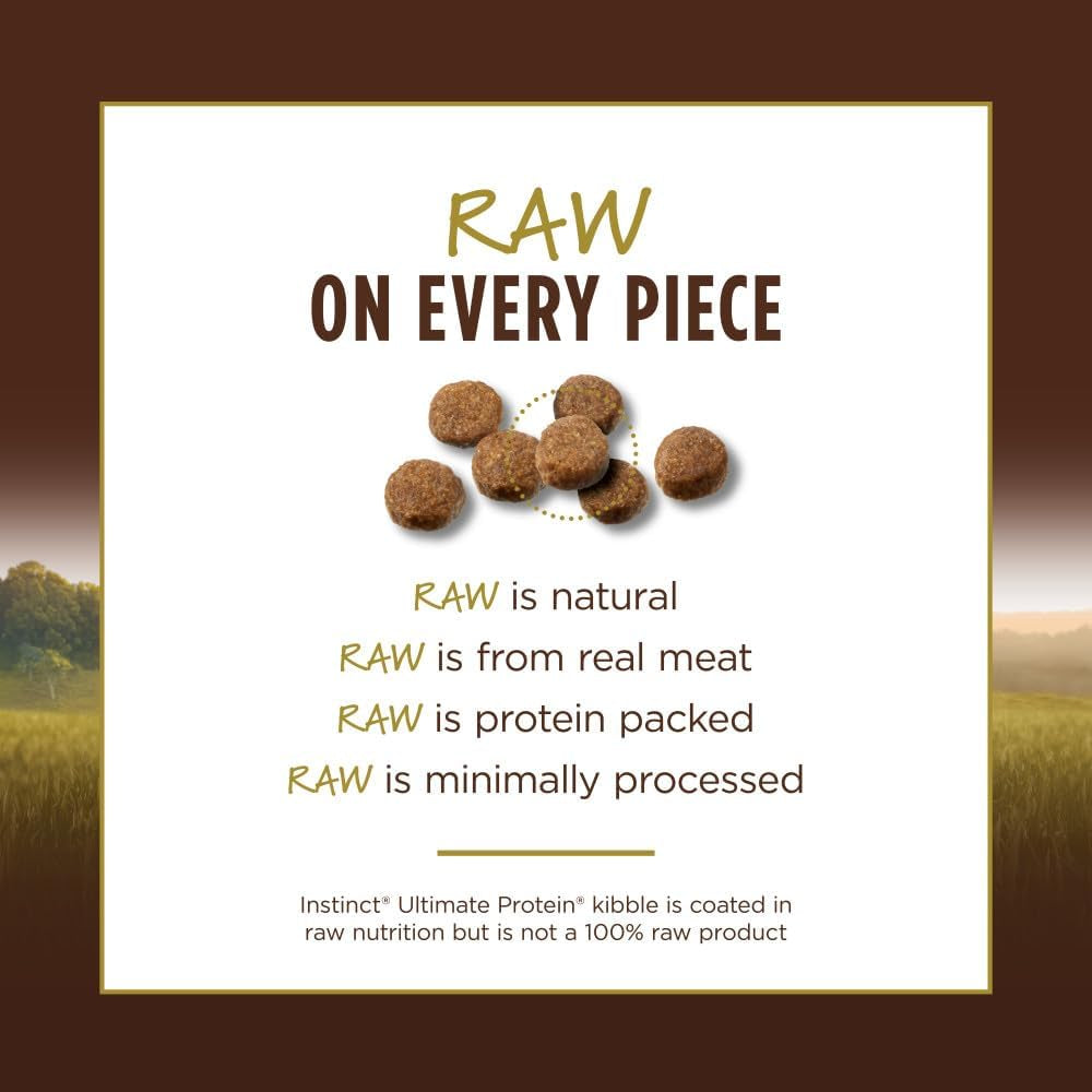 Natural Dry Cat Food, 10 Lb. Bag