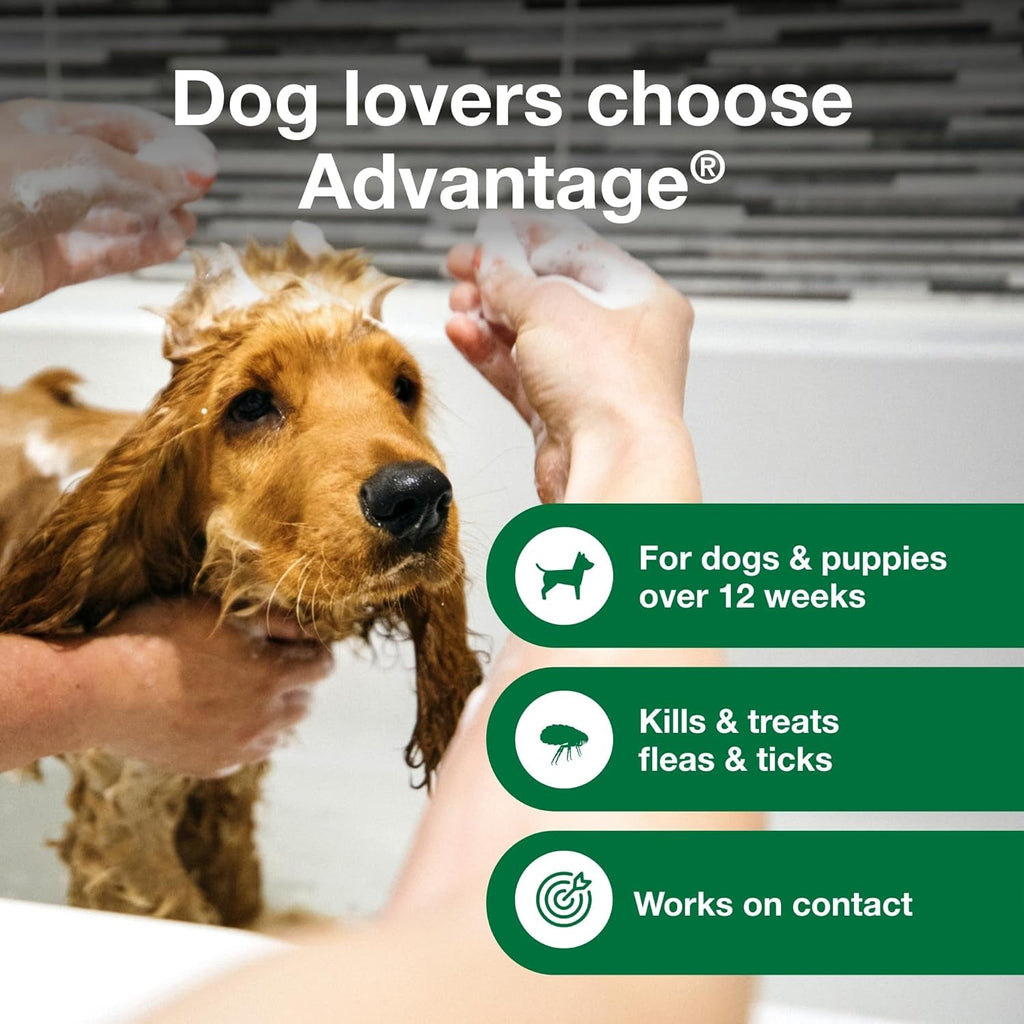 Advantage Flea &amp; Tick Treatment for Dogs & Puppies kills fleas and ticks on contact