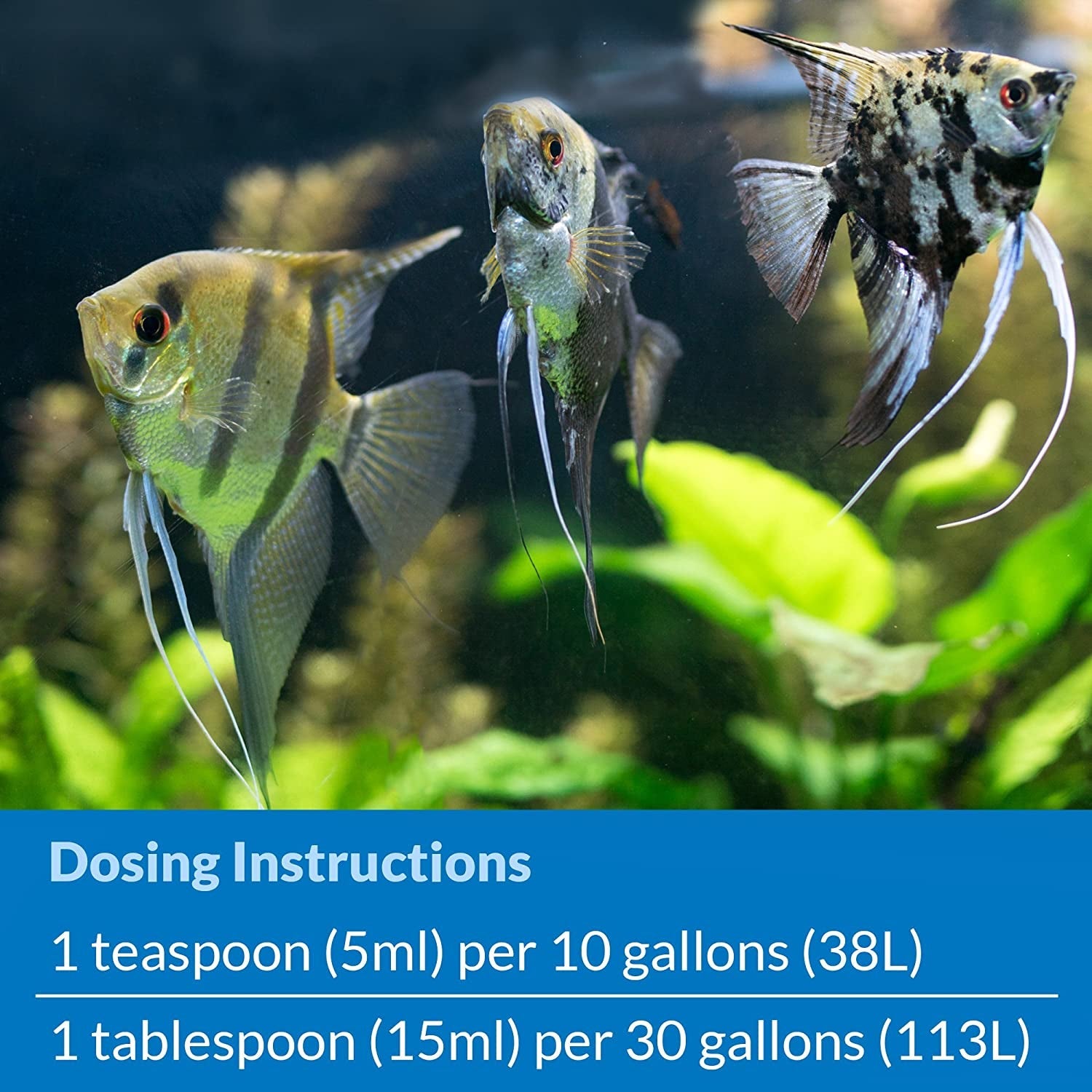 STRESS ZYME Freshwater and Saltwater Aquarium