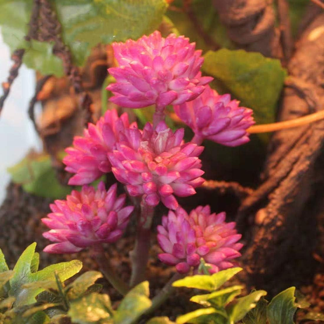 Reptile Plants Artificial