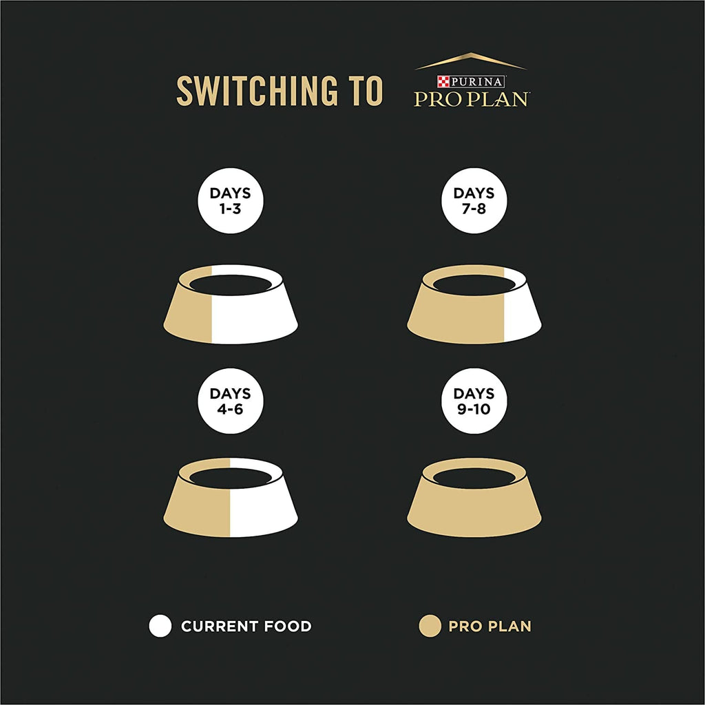 High Protein Cat Food