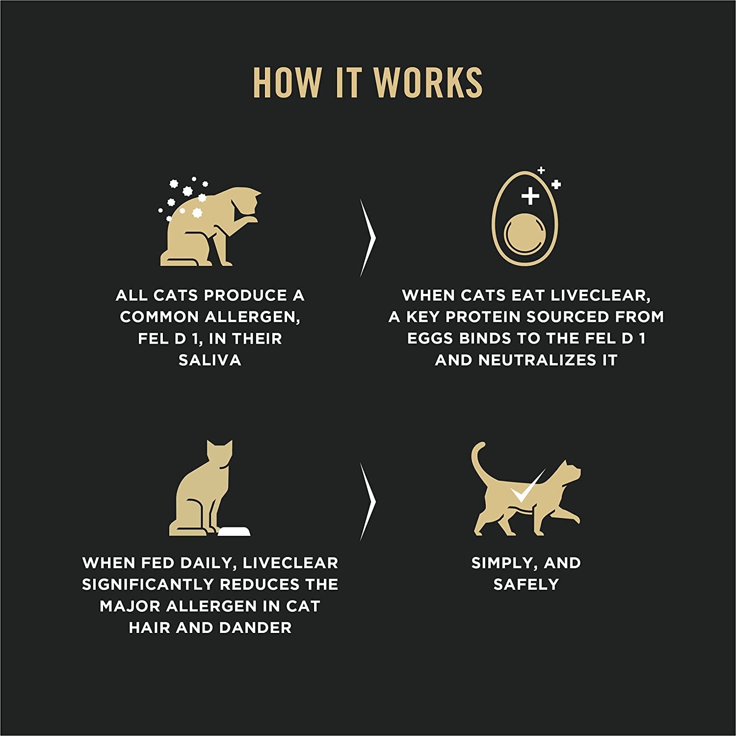 High Protein Cat Food