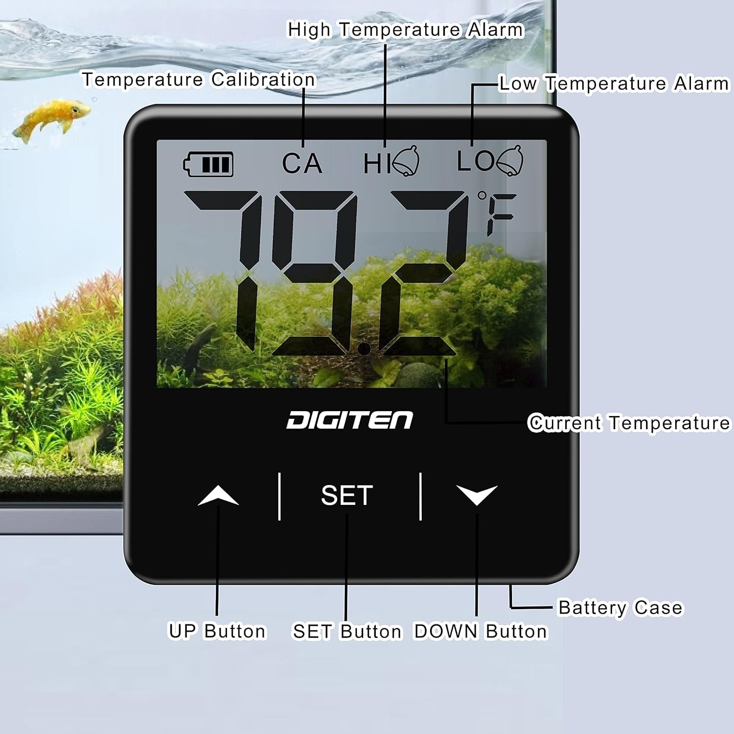 Digital Aquarium Thermometer