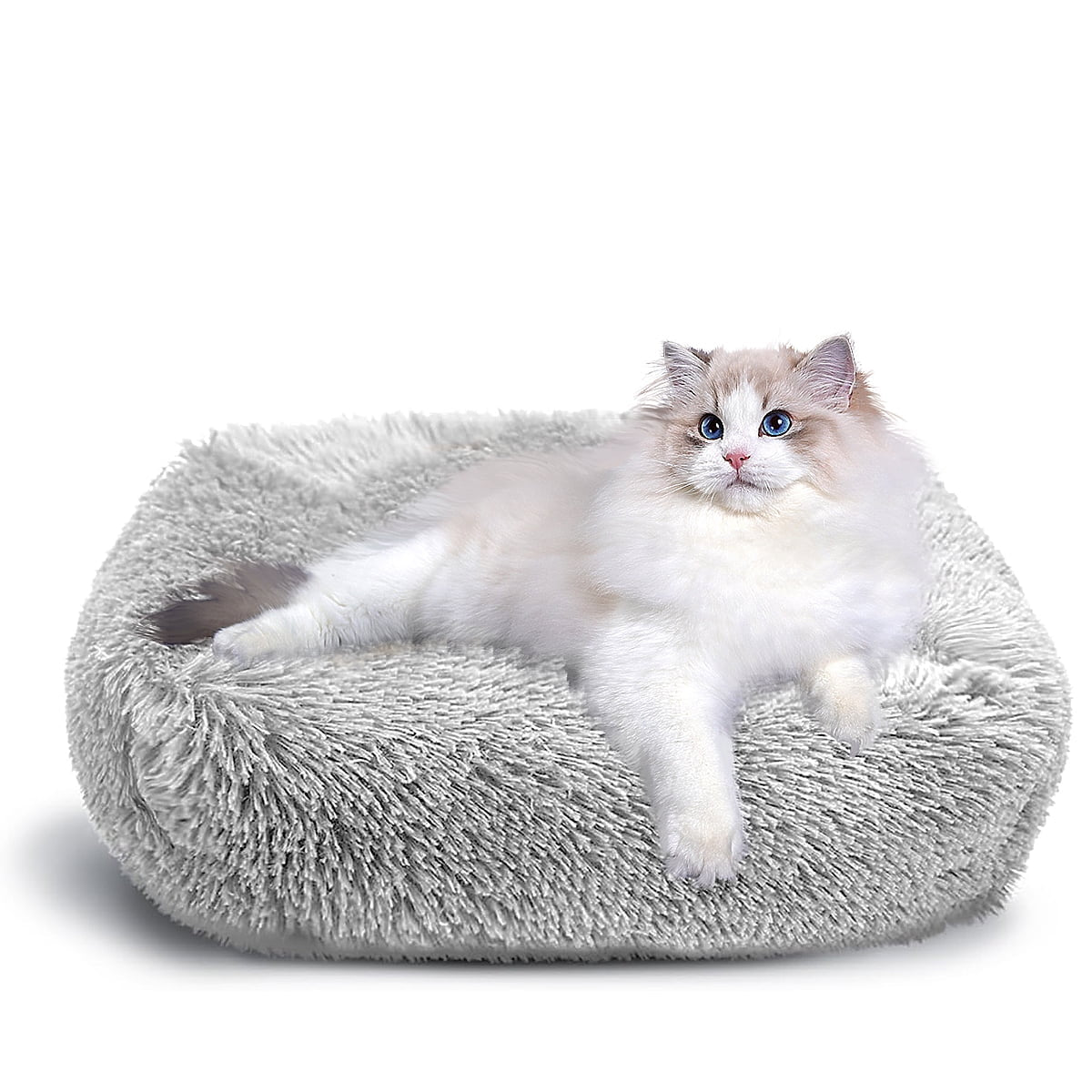 Cat Bed for Indoor Cats and small dogs