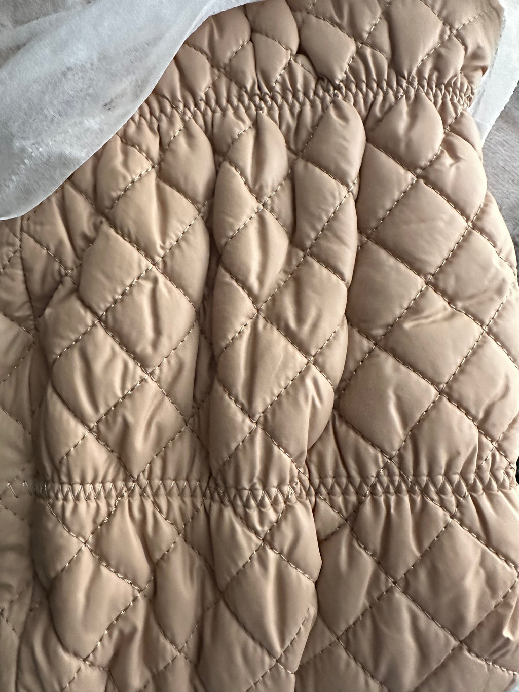 Scandalous-8 {Order 1/2 Size Larger}