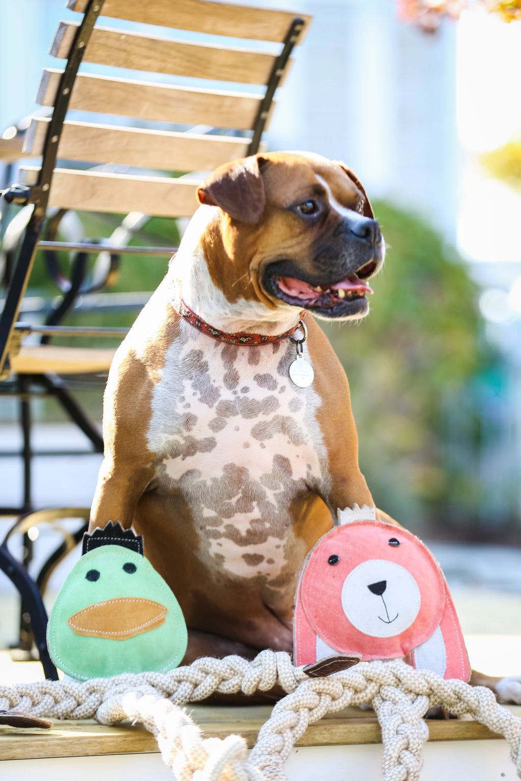 Natural Rope Knottie® Dog Toys, 3 Pack, XL (16mm rope diameter)