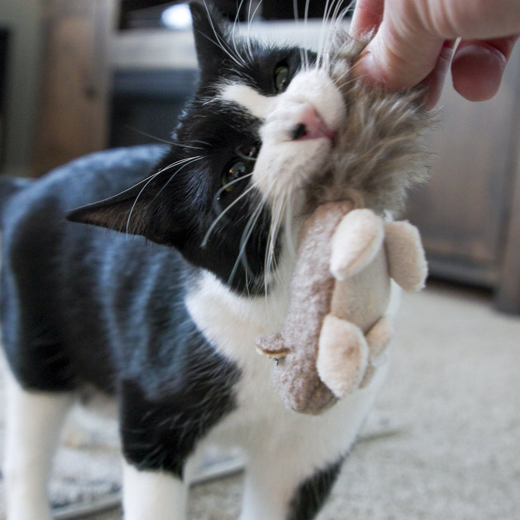 HuggleKats® Wee Fellar Squirrelie Cat Toy