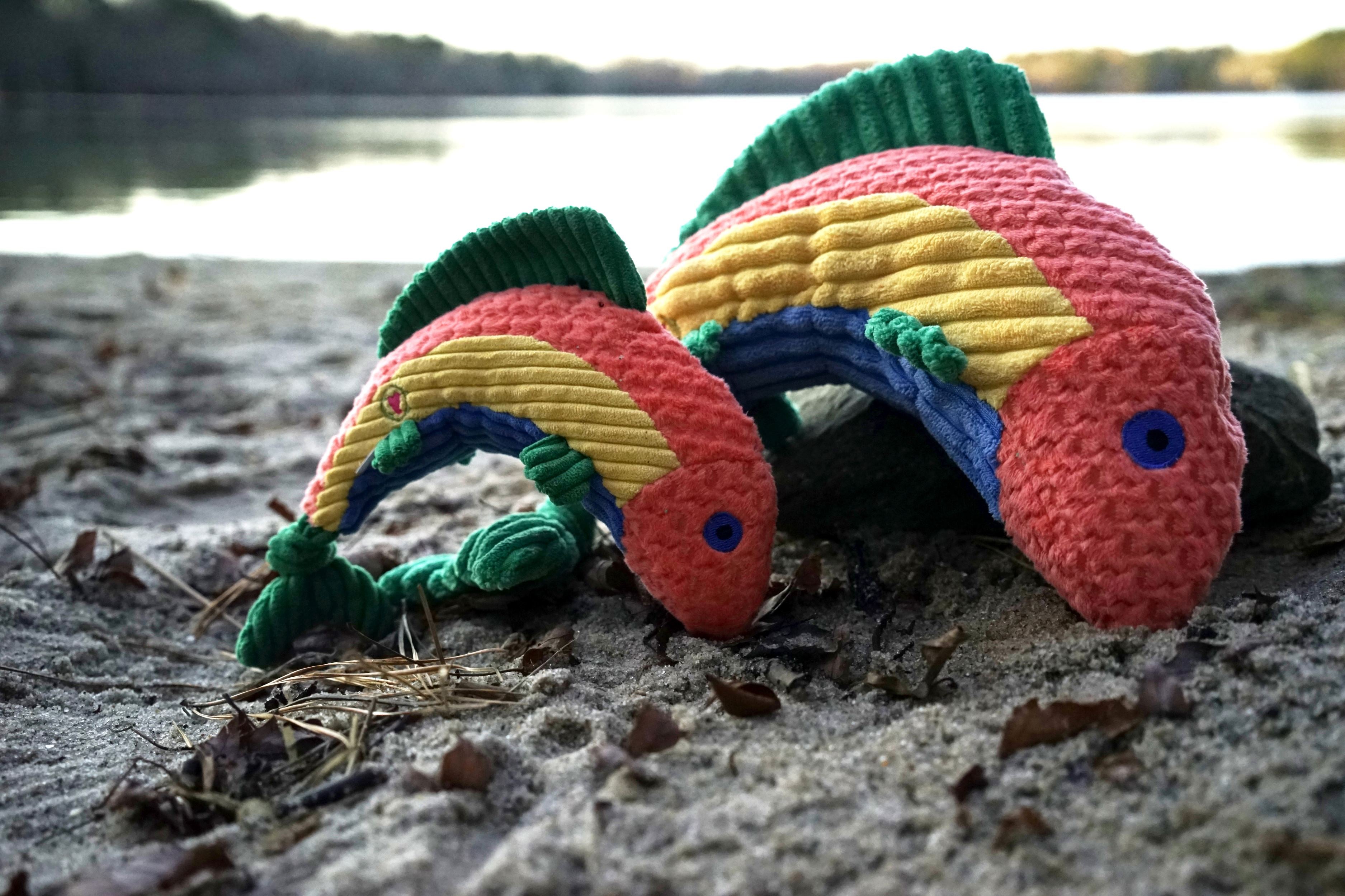 Rauccous Rainbow Trout Knottie® Plush Dog Toy