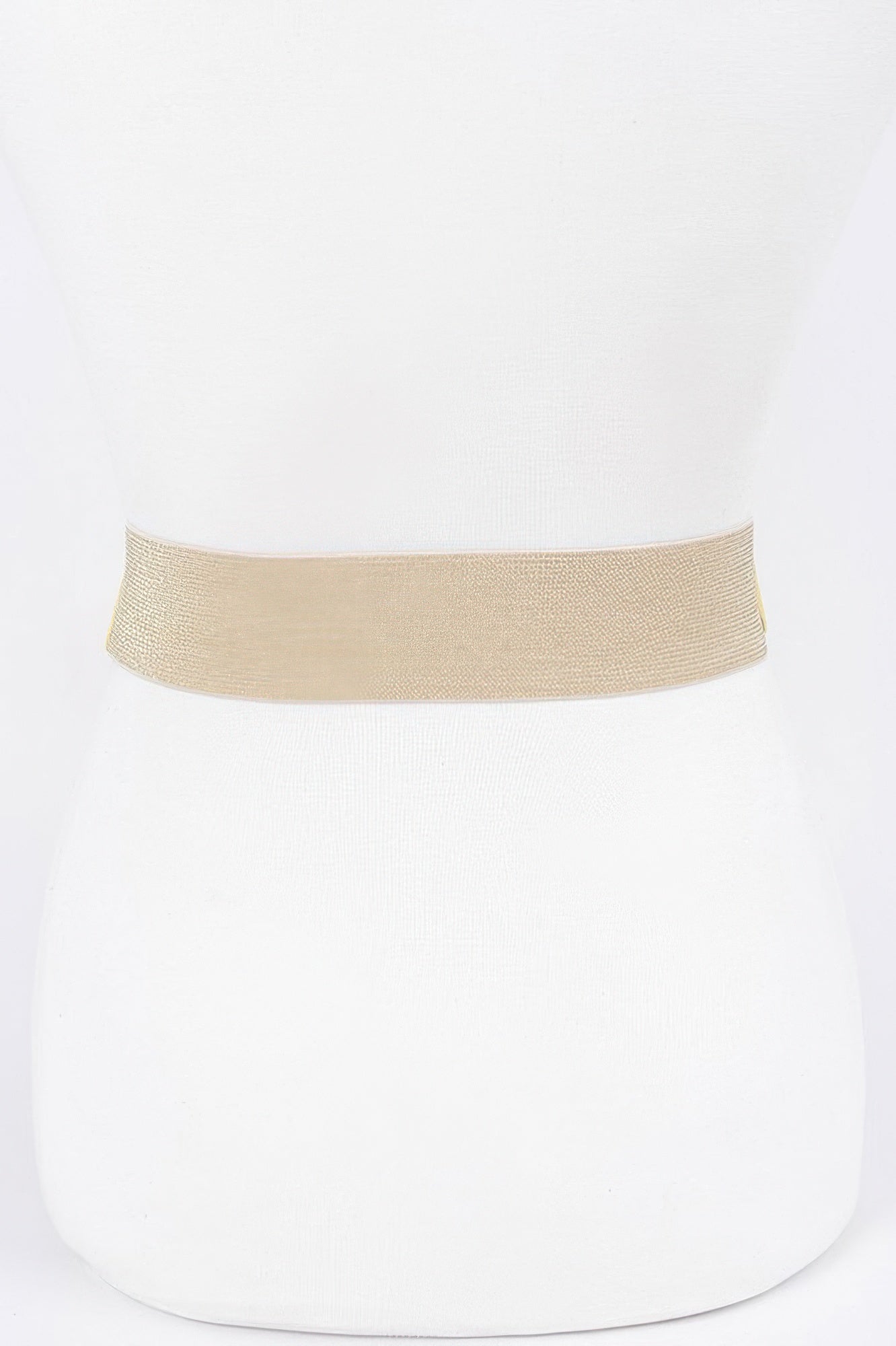 Two Buckle Plus Size Elastic Belt
