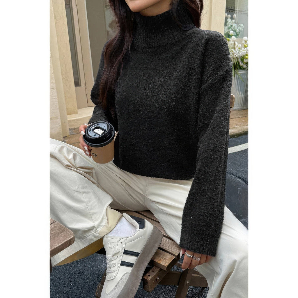 Soft Knit Roll Neck Long Sleeves Sweater