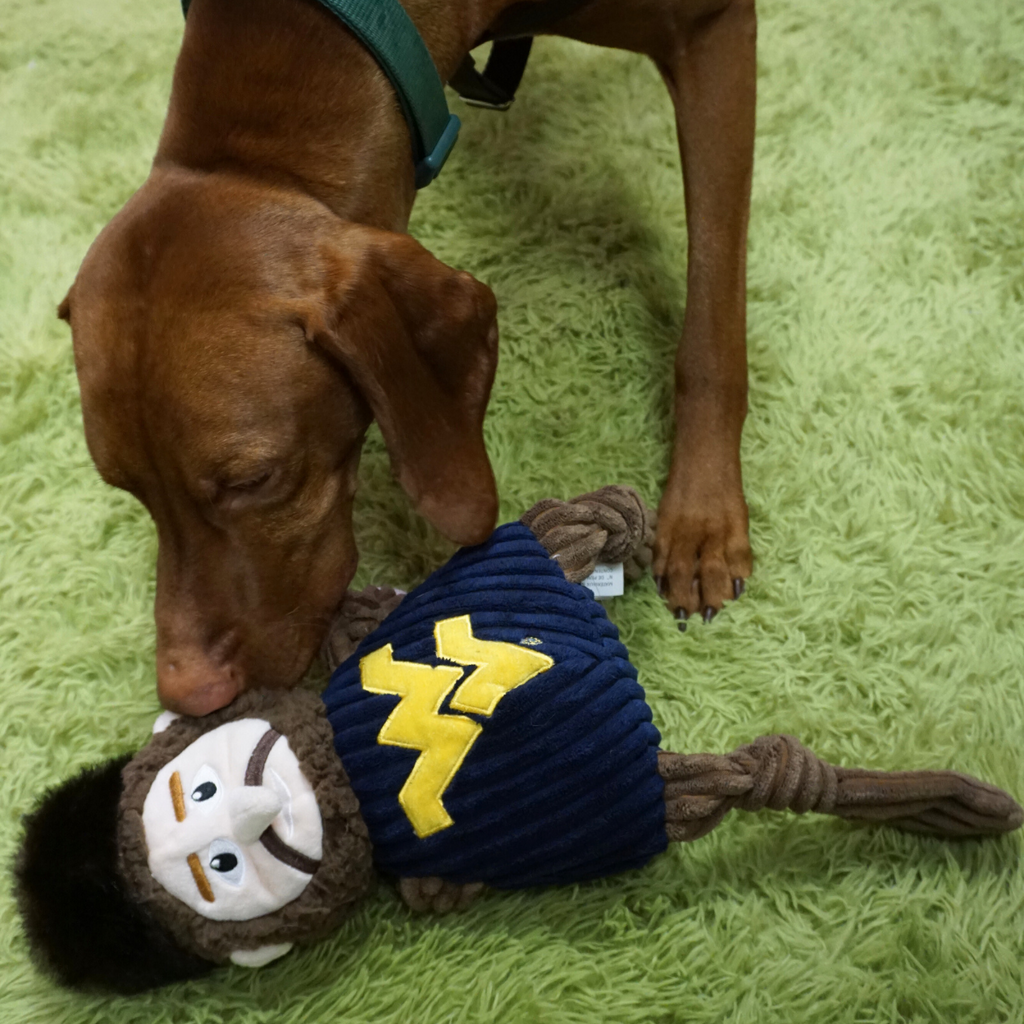 NCAA West Virginia University, Mountaineer Knottie® Plush Dog Toy