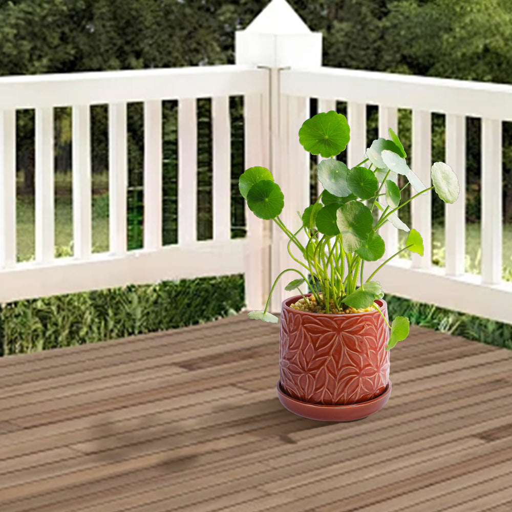 Set of 2 Ceramic Flowerpot, 7' Modern Planter for Patio, Garden, Windowsill - Red