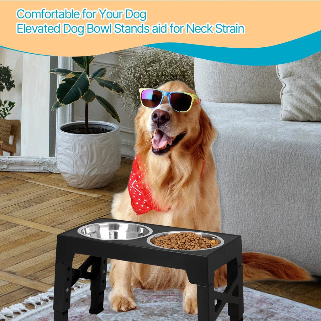 Top 10 Elevated Dog Bowl Stands with Stainless Steel Dishes