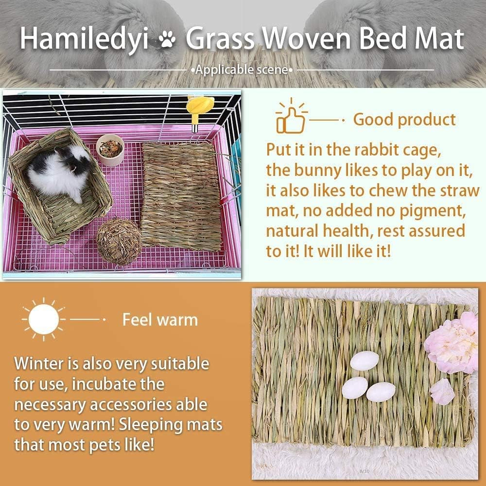 The Ultimate Chew-athon: 12 Grass Mats for Your Furry Friends' Snack Time and Nap Zone!