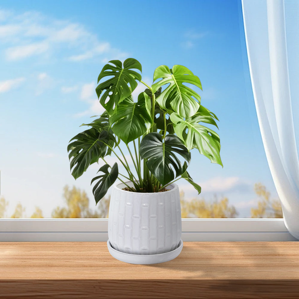 Set of 2 Ceramic Flowerpot, 7' Modern Planter for Patio, Garden, Windowsill - White