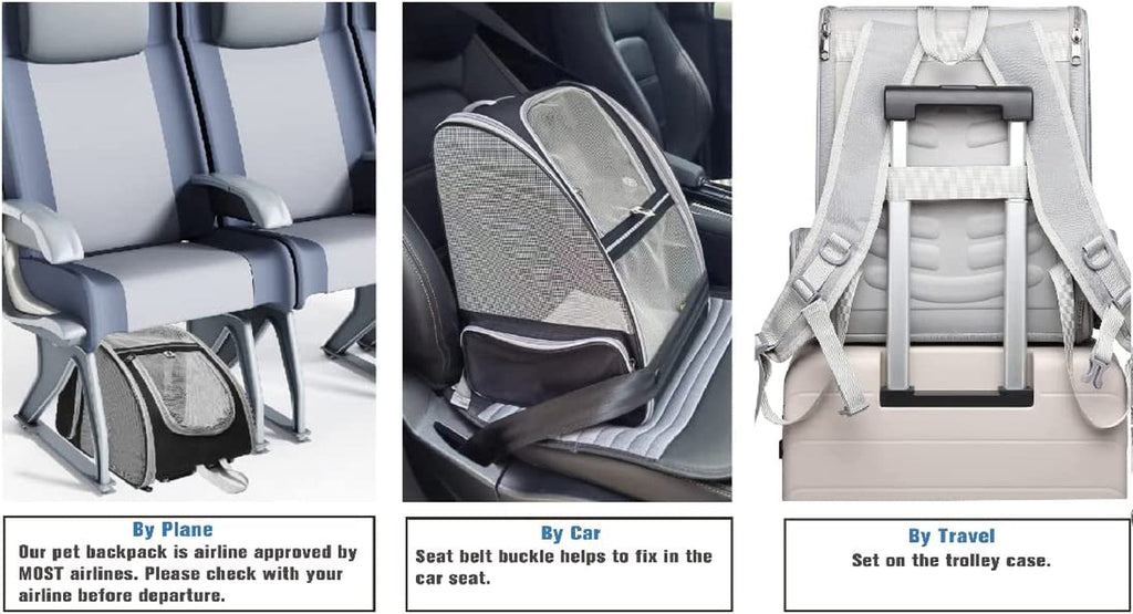 Bubble Backpack Pet Carriers for Cats and Dogs