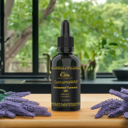 CurcumaMax 50ml Fermented Turmeric Oil – Your Enhanced Whole-Plant Ally