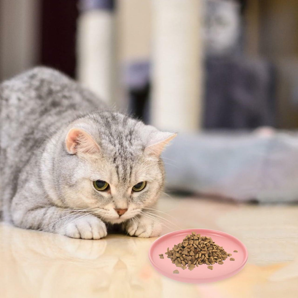 Balacoo Ceramic Cat Food Bowl Shallow Whisker Friendly Indoor Dish