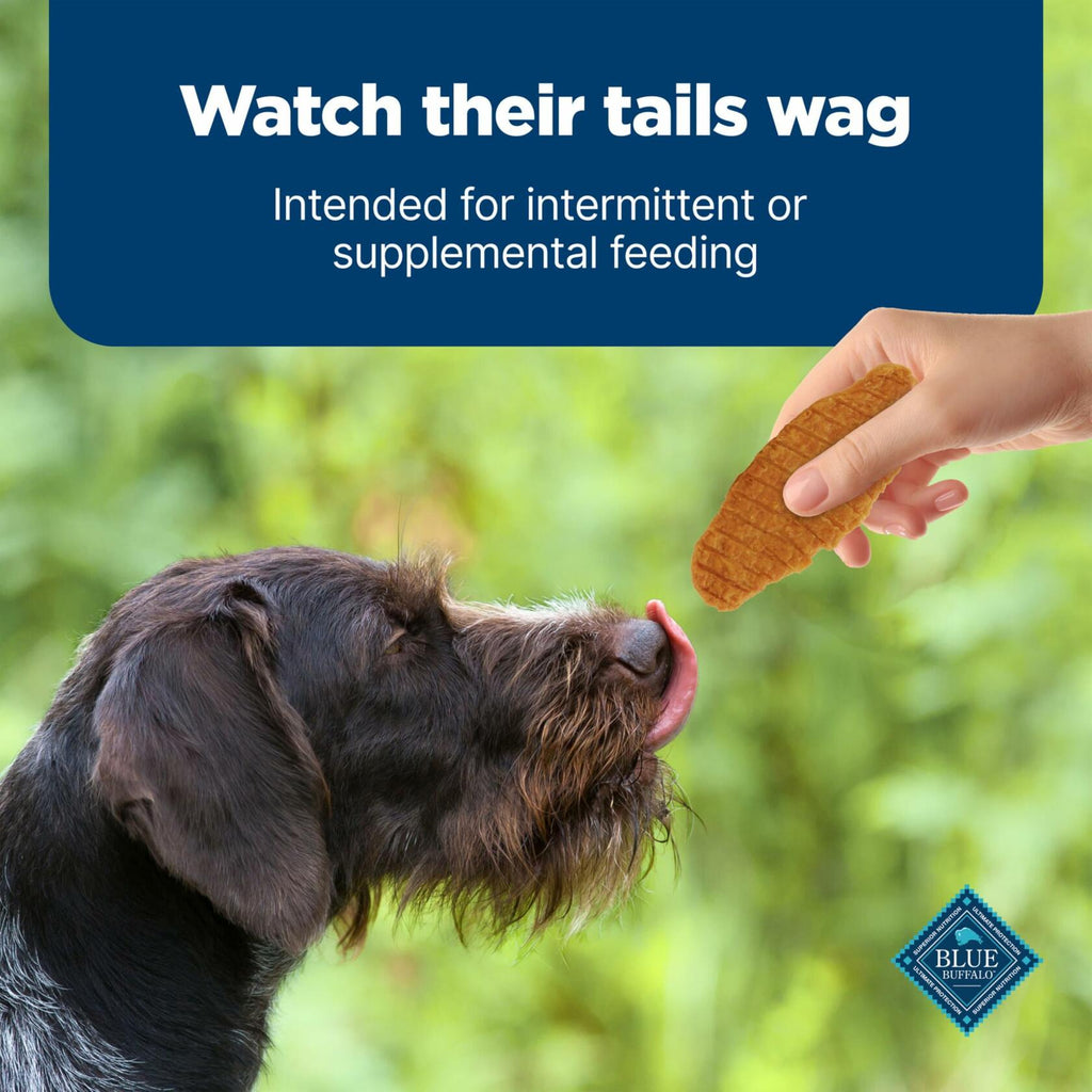 BestBy11/28/2025 Blue Buffalo Nudges Jerky Cuts Dog Treats Chicken 10oz USA