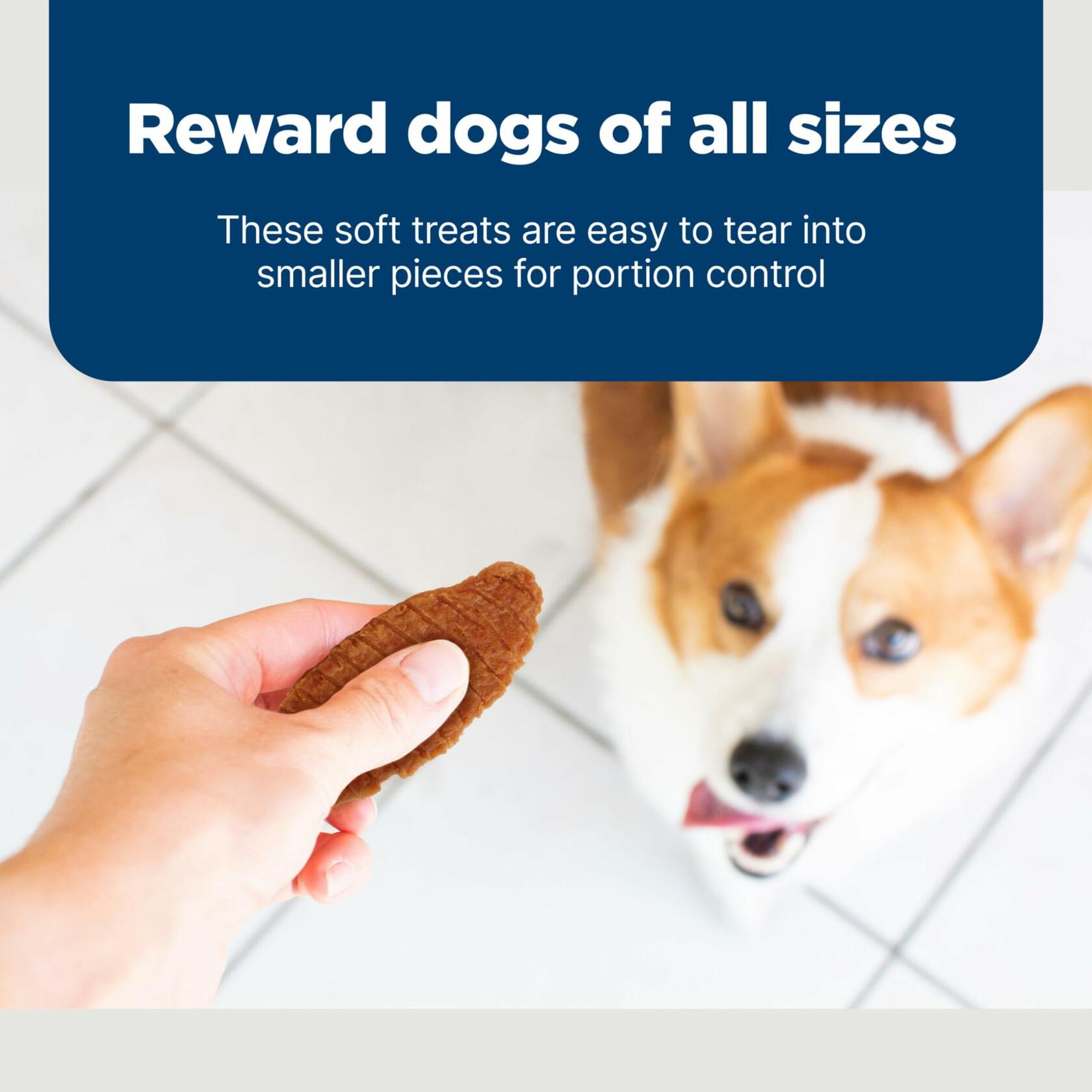 BestBy11/28/2025 Blue Buffalo Nudges Jerky Cuts Dog Treats Chicken 10oz USA