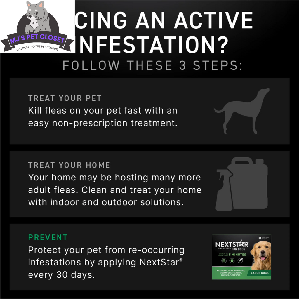 Protect Your Dog from Fleas & Ticks with NEXTSTAR: Fast-Acting 3-Month Supply for Dogs 45-88 Lbs